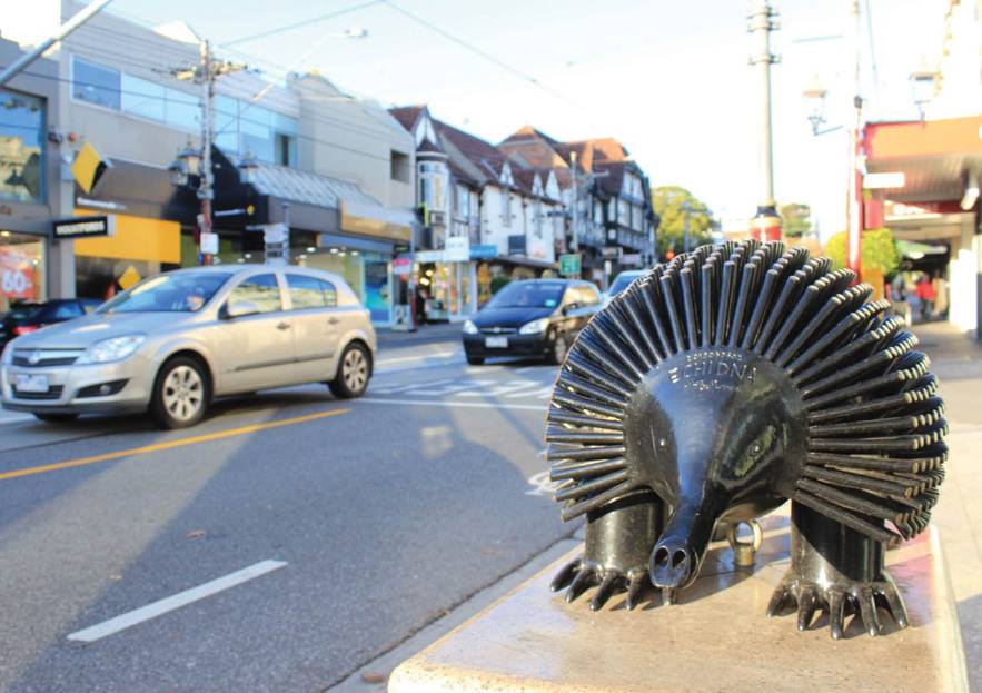 33524368_2217947781556312_7457672953828737024_n