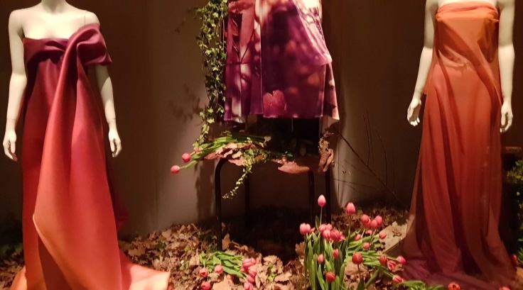 40259688_2316375611710128_3489258747262402560_o