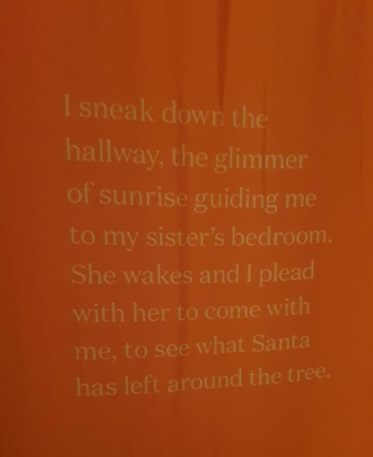 40370420_2316375288376827_4523079198138433536_n