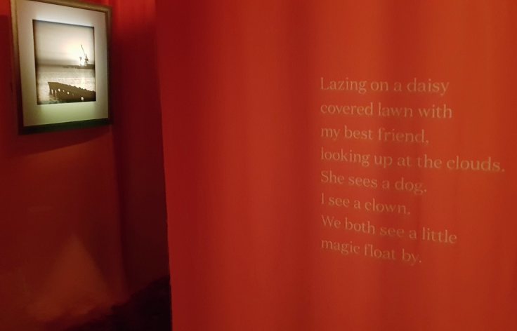 40393538_2316374861710203_7641836804974313472_o