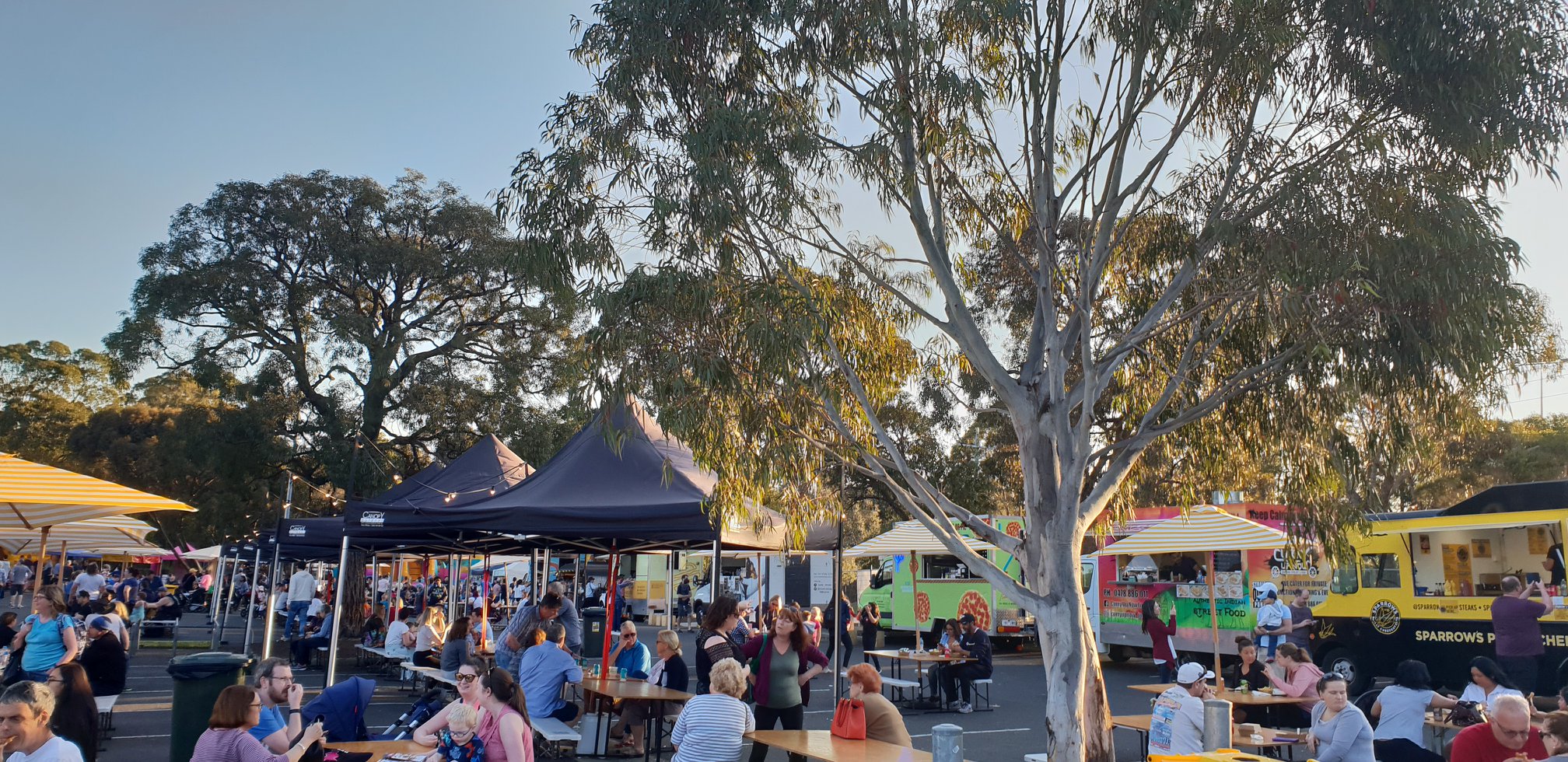 43607067_1164343047053517_1186930193822908416_o